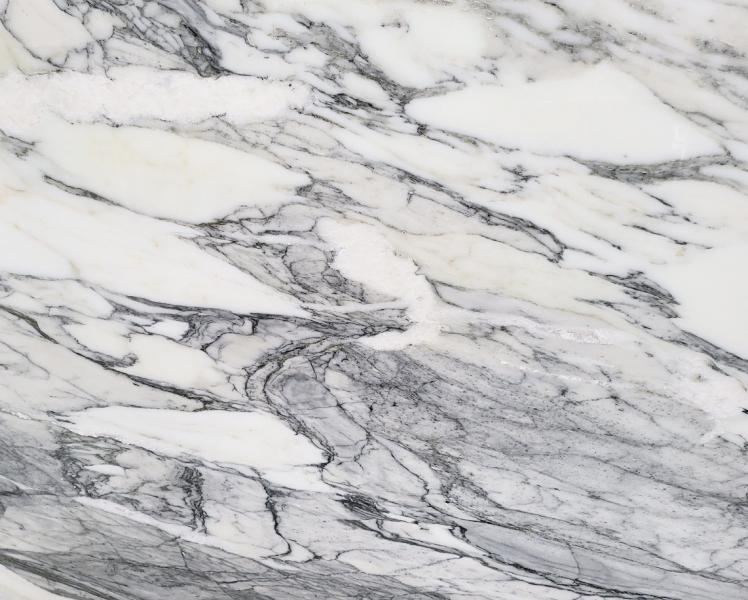 CALACATTA CORCHIA marble Italy  ()