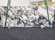 Supply polished slabs 0.8 cm in natural marble BRECCIA CAPRAIA xx1719. Detail image pictures 