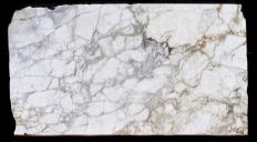 Supply honed slabs 2 cm in natural marble CALACATTA MONET 1767. Detail image pictures 