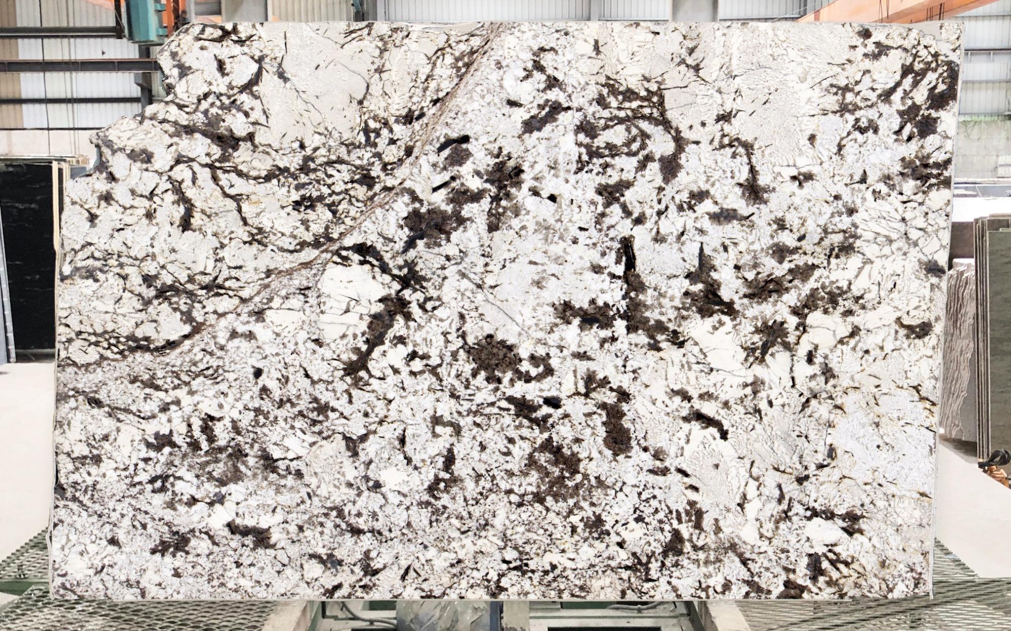 ALPINUS Supply Taipei (Taiwan) polished slabs B10011 , Slab44 natural granite 