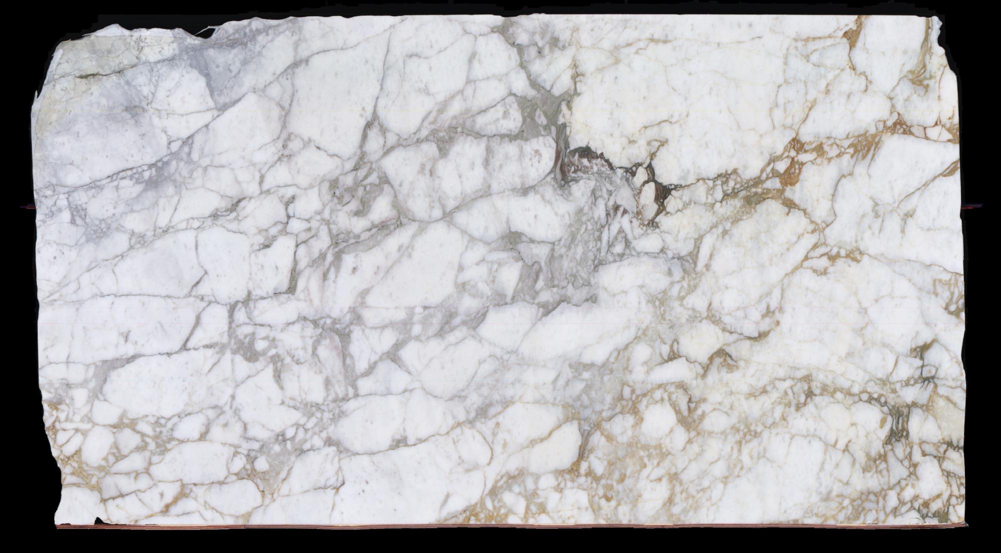 CALACATTA MONET Supply Veneto (Italy) honed slabs 1767 , Slab #111 natural marble 