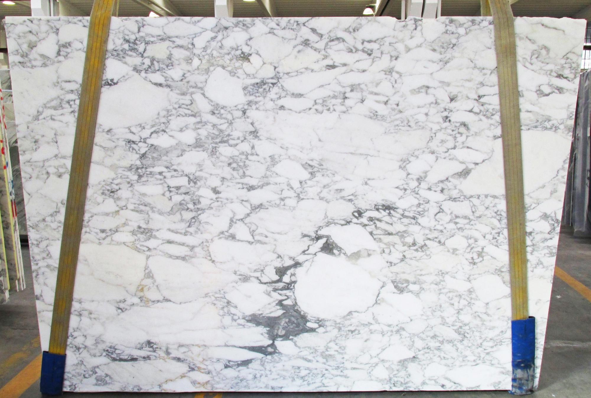 CALACATTA VAGLI Supply Veneto (Italy) honed slabs 1230M , SL2CM natural marble 