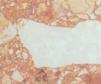 BRECCIA PERNICE R1052 