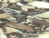 BRECCIA MEDICEA DI SIENA 
