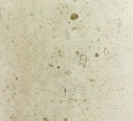 Technical detail: ELYSEE French polished natural, marble 