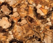 Technical detail: PETRIFIED WOOD Namibian polished natural, semi precious stone 