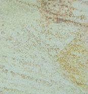 Technical detail: ARENISCA DE REGUMIEL Spanish sawn natural, sandstone 